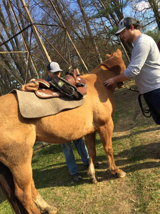 Finn came for a saddle fit today...