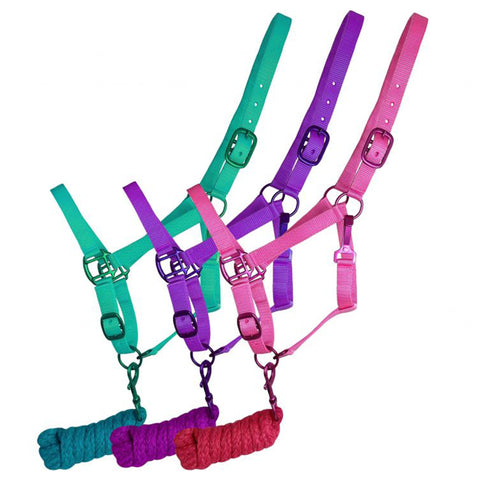 Triple Ply Nylon Halter with Powder Coated Hardware - Yearling/Small Horse