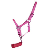 Triple Ply Nylon Halter with Powder Coated Hardware - Yearling/Small Horse