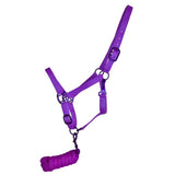 Triple Ply Nylon Halter with Powder Coated Hardware - Yearling/Small Horse