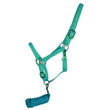 Triple Ply Nylon Halter with Powder Coated Hardware - Yearling/Small Horse
