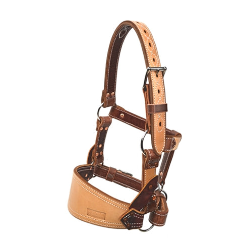 Leather Bronc Halter by Barstow Pro Rodeo