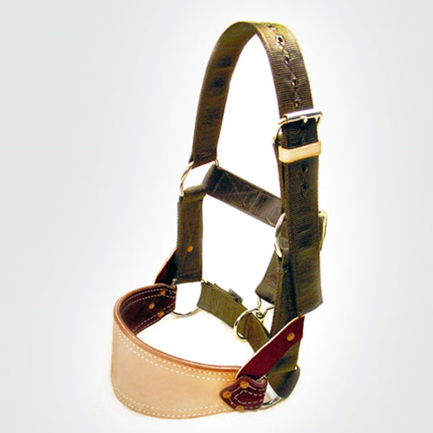 Nylon Bronc Halter by Barstow Pro Rodeo