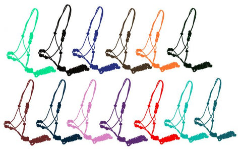 Training Cowboy Knot Halter with 10ft Lead