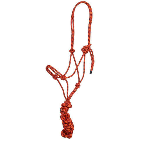 Confetti Cowboy Knot Halter with Lead