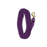 Heavy Duty 25' Web Lunge Line with Padded Handle