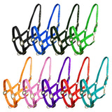 Cob Size Triple Ply Nylon Halter with Brass Hardware