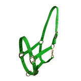 Cob Size Triple Ply Nylon Halter with Brass Hardware