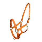 Cob Size Triple Ply Nylon Halter with Brass Hardware