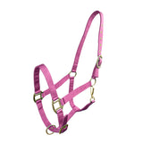 Cob Size Triple Ply Nylon Halter with Brass Hardware