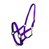 Cob Size Triple Ply Nylon Halter with Brass Hardware