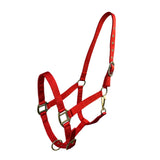 Cob Size Triple Ply Nylon Halter with Brass Hardware