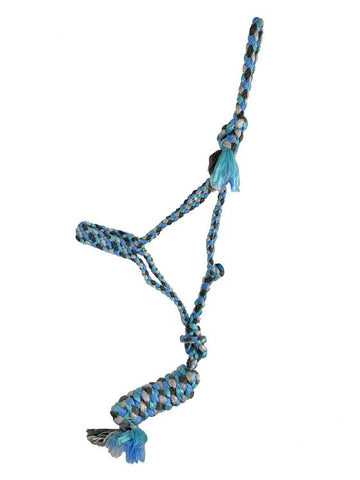 Blue Multicolor Braided Mule Tape Halter with Lead