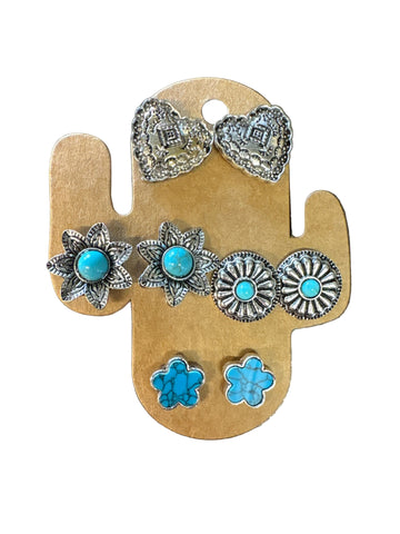 Western Earring Assortment