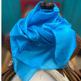 Solid Color Silk Wild Rag by Austin Accent